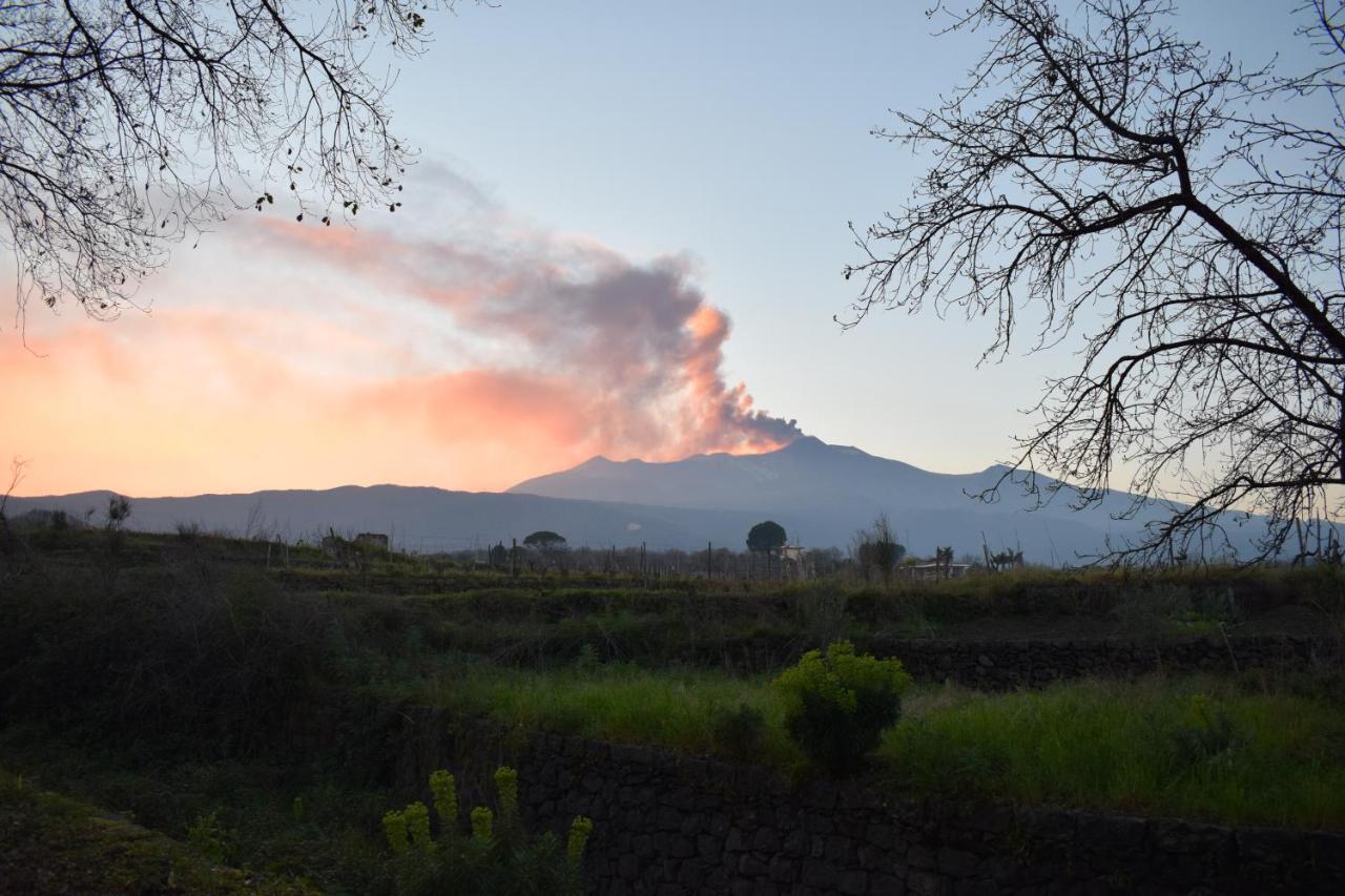 Etna Tra Le Querce Villa ซานตา เวเนรินา ภายนอก รูปภาพ
